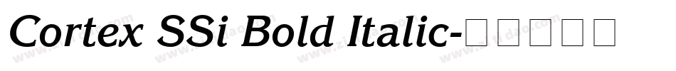 Cortex SSi Bold Italic字体转换